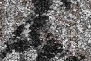 Ковролин Balsan Lily 917 фото  | FLOORDEALER