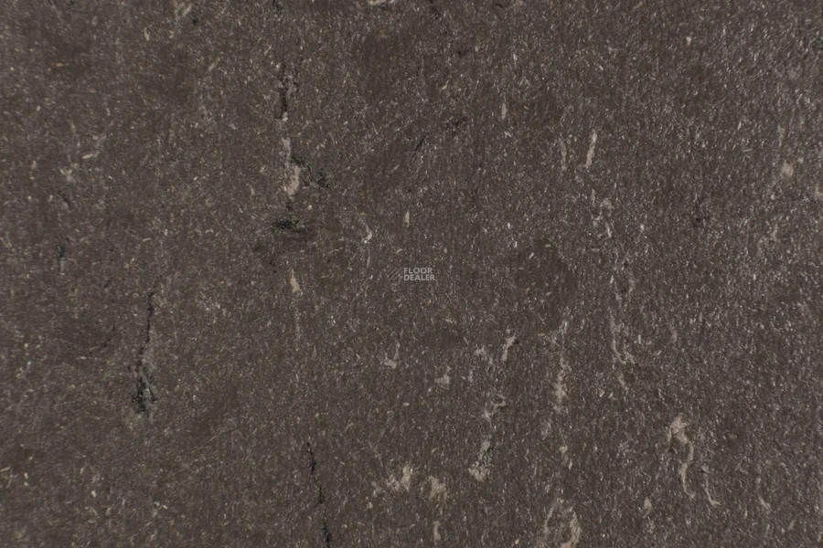 Forbo Marmoleum Solid Piano 3632- 363235 sealion фото 2 | FLOORDEALER