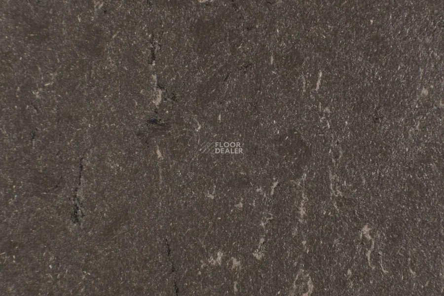 Forbo Marmoleum Solid Piano 3632- 363235 sealion фото 2 | FLOORDEALER