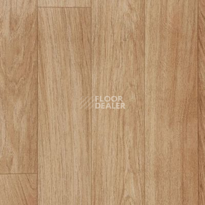 Линолеум Grabo Terrana Top Extra 4259_254 фото 1 | FLOORDEALER