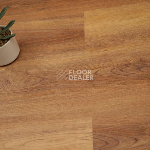 Evofloor Optima Click 4.2мм Дуб Янтарный фото 8 | FLOORDEALER