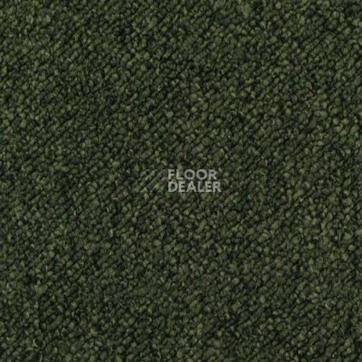 Ковровая плитка Desso Pallas 9093 фото 1 | FLOORDEALER