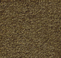 Ковролин Emphatic Beaulieu of America 56350 фото 1 | FLOORDEALER