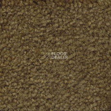Ковролин Emphatic Beaulieu of America 56350 фото 1 | FLOORDEALER