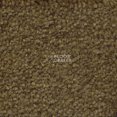 Ковролин Emphatic Beaulieu of America 56350 фото 1 | FLOORDEALER