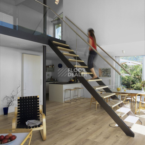 Kronotex Mega Plus d3668 Дуб Неброский фото 2 | FLOORDEALER