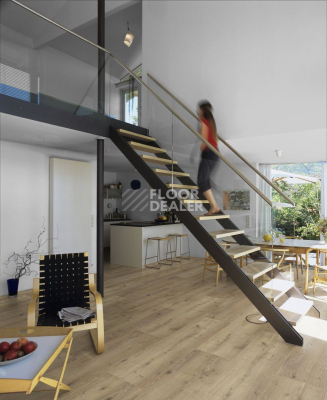 Ламинат Kronotex Mega Plus d3668 Дуб Неброский фото 2 | FLOORDEALER