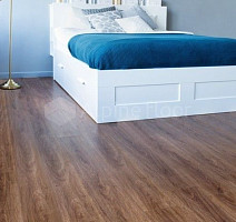Alpine Floor Easy Line 3мм СОСНОВЫЙ БОР ECO 3-22 фото 3 | FLOORDEALER