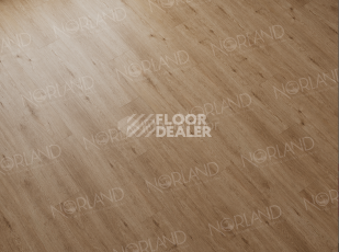 Norland Sigrid Superior 8мм Abbi 1008-1 ABA фото 3 | FLOORDEALER