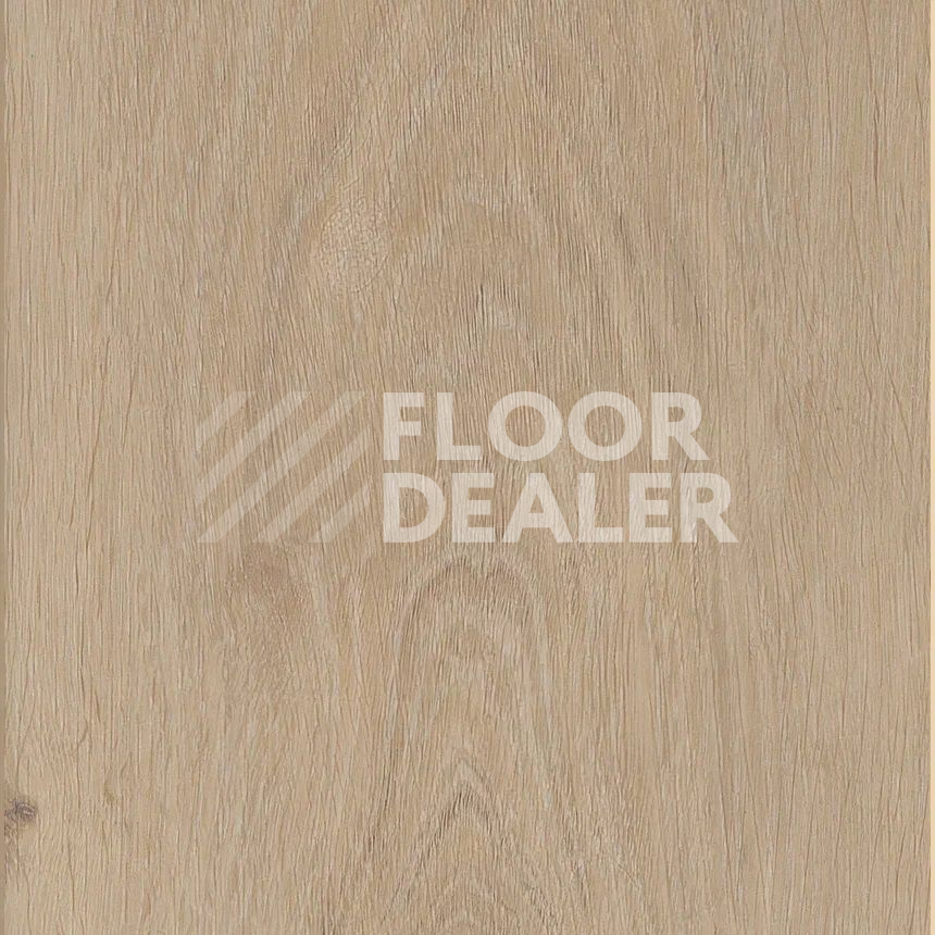Кварцвиниловые полы Maximus Plank Silk Oak Latte фото 1 | FLOORDEALER