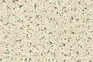 Ковролин Balsan Egerie 605 фото  | FLOORDEALER