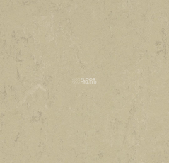 Forbo Marmoleum Solid Concrete 3761 Titan фото 1 | FLOORDEALER