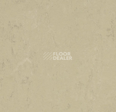 Линолеум Forbo Marmoleum Solid Concrete 3761 Titan фото 1 | FLOORDEALER