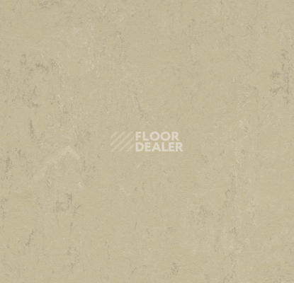 Линолеум Forbo Marmoleum Solid Concrete 3761 Titan фото 1 | FLOORDEALER