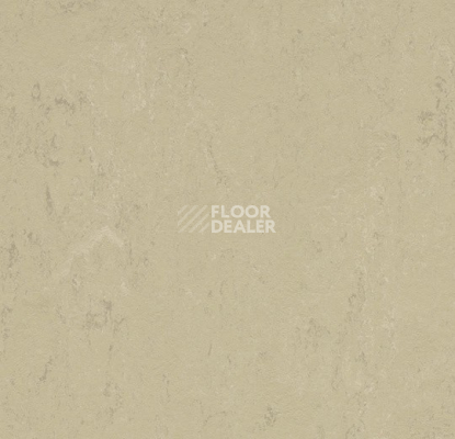 Линолеум Forbo Marmoleum Solid Concrete 3761 Titan фото 1 | FLOORDEALER