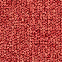 Ковролин Balsan Santa Fe DD Santa Fe dd 550 фото 1 | FLOORDEALER