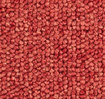 Ковролин Balsan Santa Fe DD Santa Fe dd 550 фото 1 | FLOORDEALER