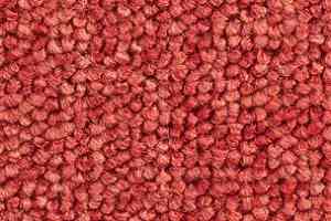 Ковролин Balsan Santa Fe DD Santa Fe dd 550 фото  | FLOORDEALER