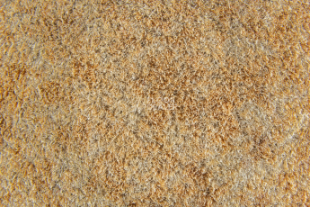 Flotex Colour Calgary 50*50 t 590006 Calgary Sahara фото 2 | FLOORDEALER