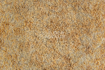 Forbo Flotex Colour Calgary 50*50 t 590006 Calgary Sahara фото 2 | FLOORDEALER