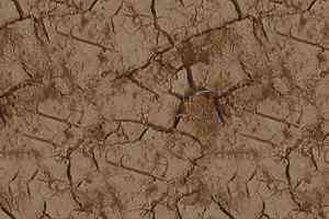 Ковролин Ege Highline Nature rf 5500620 фото  | FLOORDEALER