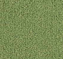 Ковролин Balsan Les Best S 255 фото 1 | FLOORDEALER