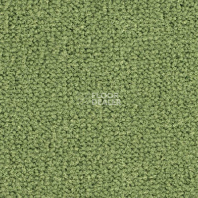 Ковролин Balsan Les Best S 255 фото 1 | FLOORDEALER