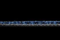 Balsan Take a Walk 190 Take a Walk фото 5 | FLOORDEALER