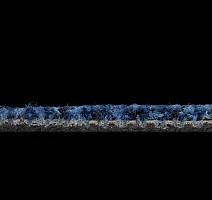 Balsan Take a Walk 190 Take a Walk фото 5 | FLOORDEALER