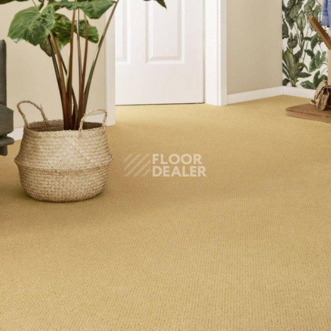 Vorwerk Superior 1071 Vorwerk 2f51 фото 2 | FLOORDEALER
