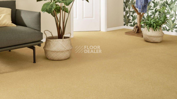 Vorwerk Superior 1071 Vorwerk 2f51 фото 2 | FLOORDEALER