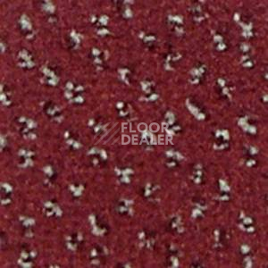 Ковролин Infloor Credo 140 фото 1 | FLOORDEALER