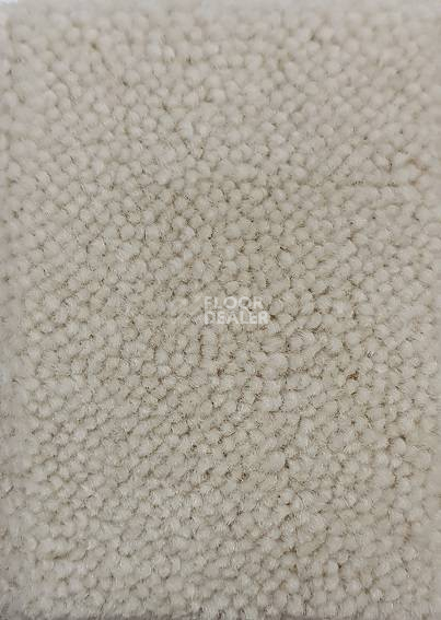 Ковролин Condor Carpets Marriott 69 фото 1 | FLOORDEALER