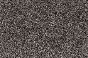 Ковролин Vorwerk Passion 1001 Vorwerk 9d84 фото  | FLOORDEALER