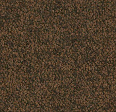 Ковровая плитка Forbo Tessera Acrobat 1324 фото 1 | FLOORDEALER