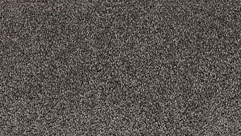 Ковролин Vorwerk Passion 1001 Vorwerk 9d84 фото 1 | FLOORDEALER