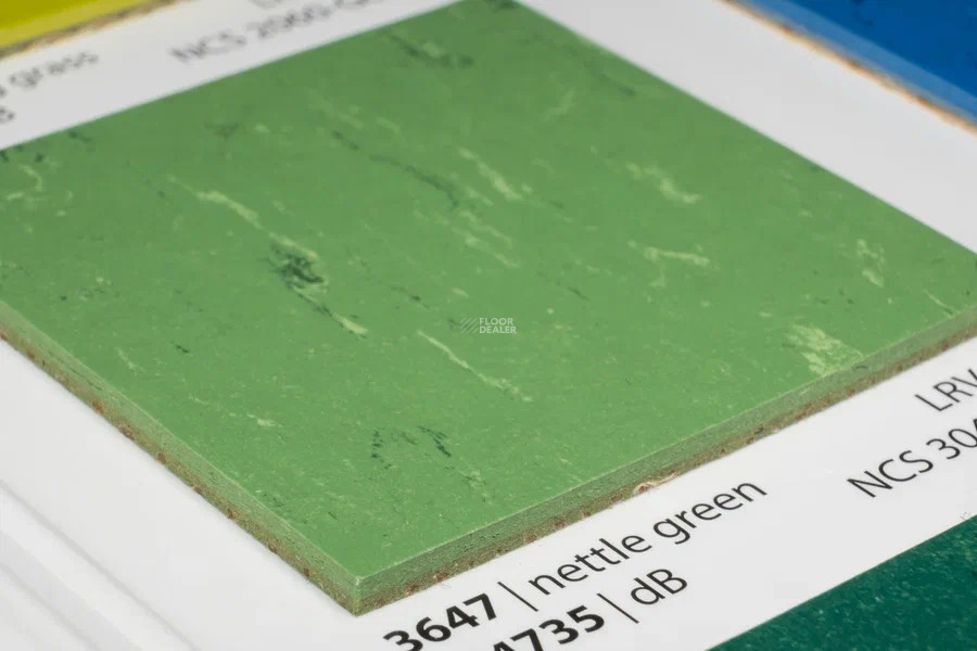 Forbo Marmoleum Solid Piano 3647-364735 nettle green фото 3 | FLOORDEALER