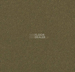 Ковровая плитка Westbond Ibond зеленая гамма 9848 фото 1 | FLOORDEALER