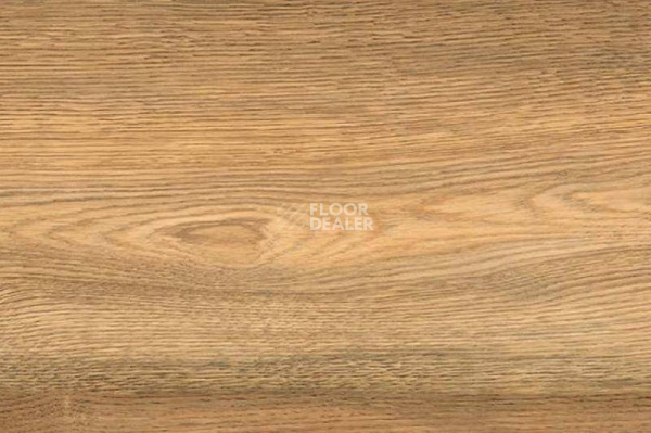 Пробковое покрытие Corkstyle Wood OAK FLOOR BOARD фото 1 | FLOORDEALER