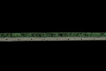 Flotex Colour s 246022 Metro Evergreen фото 3 | FLOORDEALER