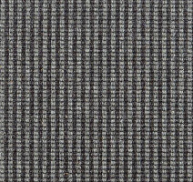 Ковролин Carpet Concept Goi 3 270610 фото 1 | FLOORDEALER