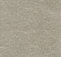 Ковролин AW Masquerade Fedone 90 фото 1 | FLOORDEALER