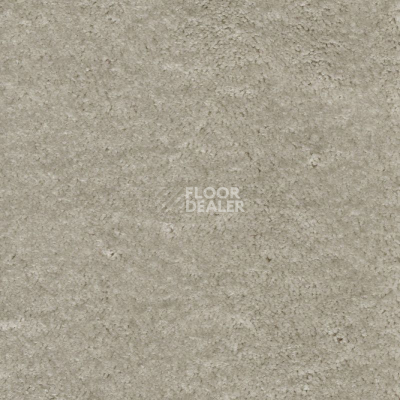 Ковролин AW Masquerade Fedone 90 фото 1 | FLOORDEALER