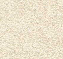 Ковролин AW Gaia Solstice 30 фото 1 | FLOORDEALER