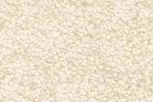 Ковролин AW Gaia Solstice 30 фото  | FLOORDEALER