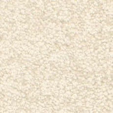 Ковролин AW Gaia Solstice 30 фото 1 | FLOORDEALER