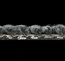 Desso Desert 9510 фото 4 | FLOORDEALER