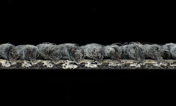 Desso Desert 9510 фото 4 | FLOORDEALER