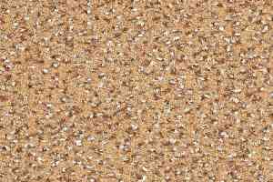 Ковролин Balsan Equinoxe 635 фото  | FLOORDEALER