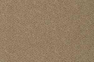 Ковролин Vorwerk Passion 1006 Vorwerk 8j12 фото  | FLOORDEALER